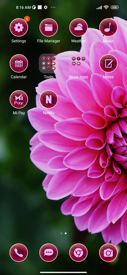 flowers dahlia screenshot