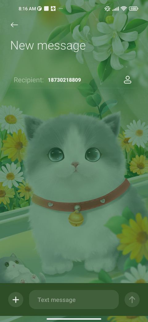 Duofu+Meow+dyna screenshot