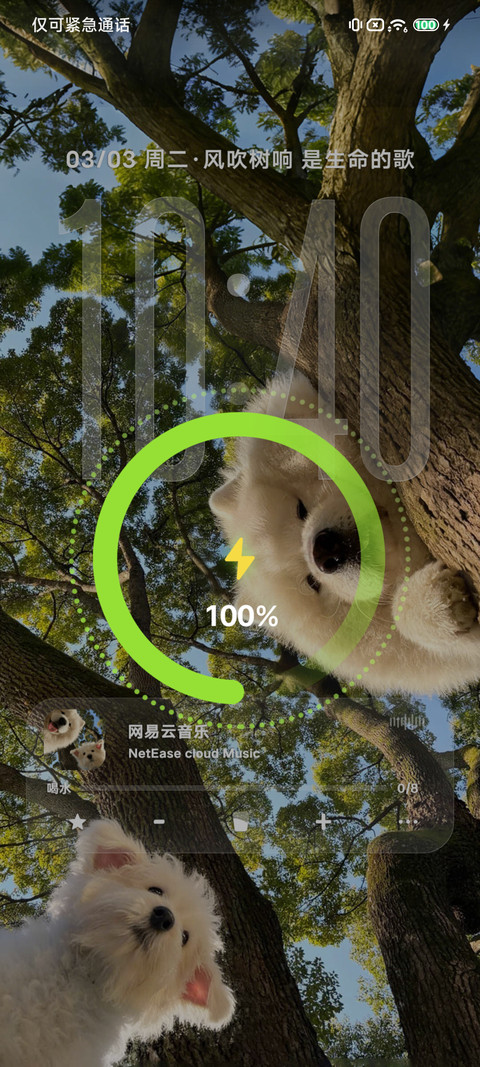 治愈小狗 树影摇晃 screenshot