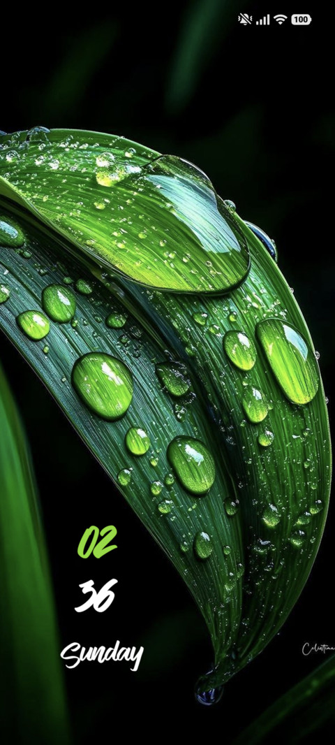 Dew Glow screenshot