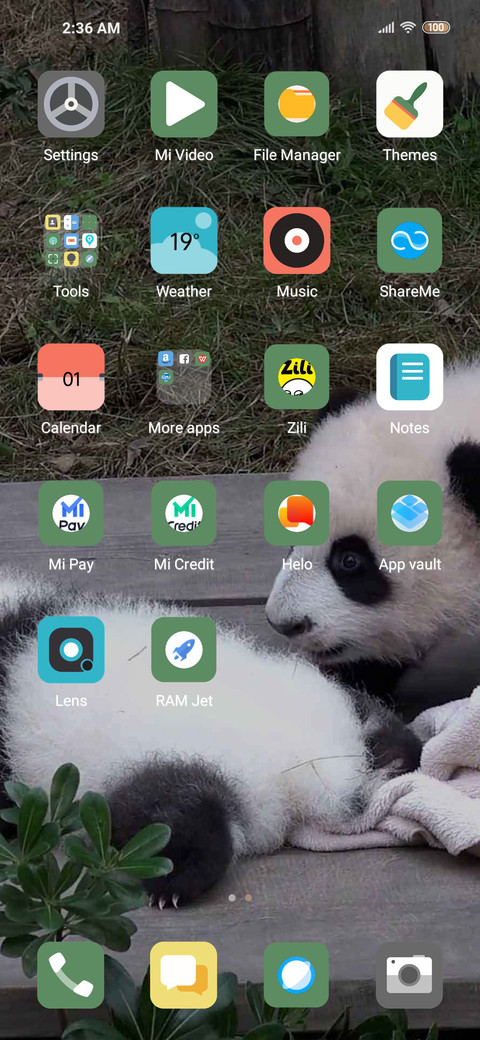 panda screenshot