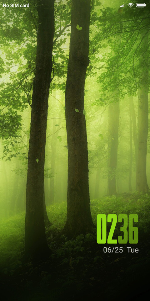Forest NY screenshot