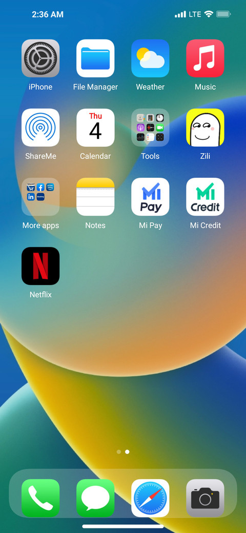 iPhone Max screenshot