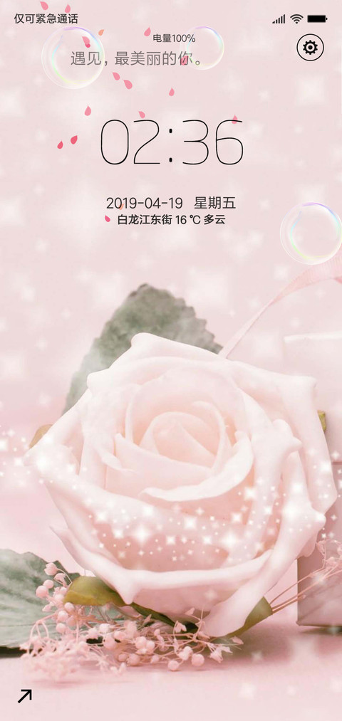 爱情玫瑰 screenshot