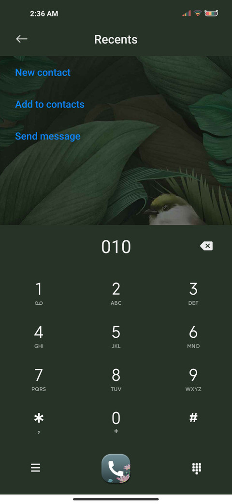 Rooster Chicken screenshot