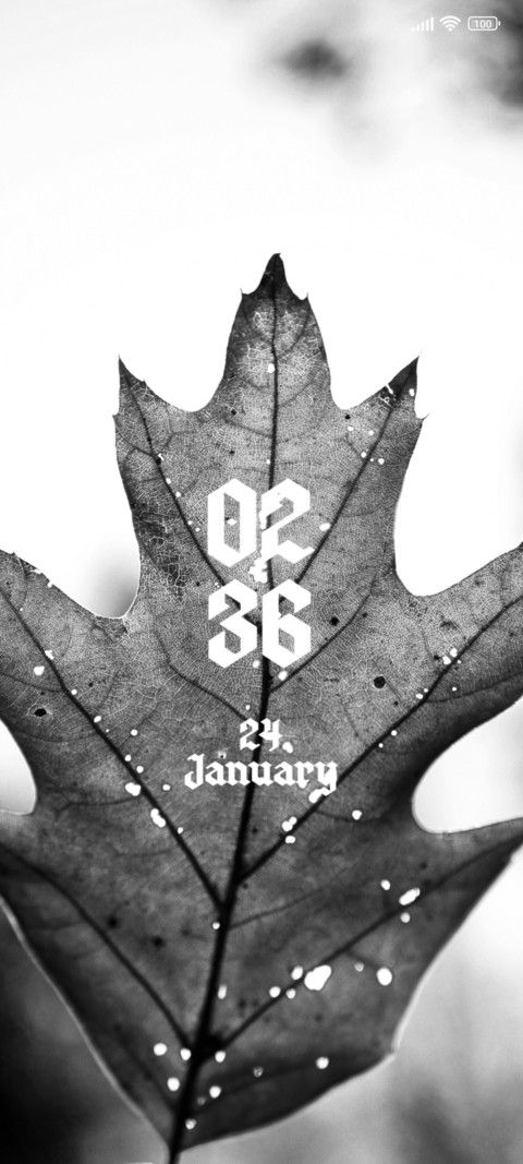 Winter Leaf screenshot