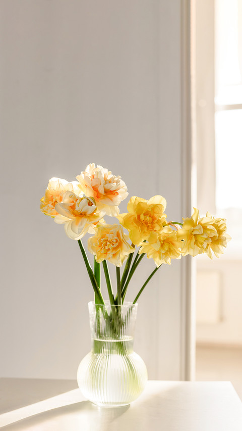 Spring Flowers of Daffodils in a Vase screenshot