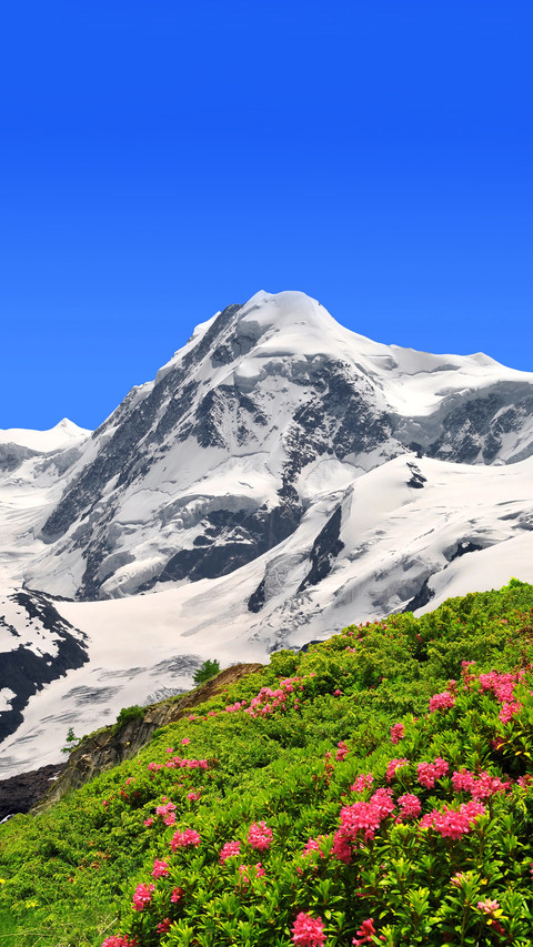 Summer in the Alps screenshot