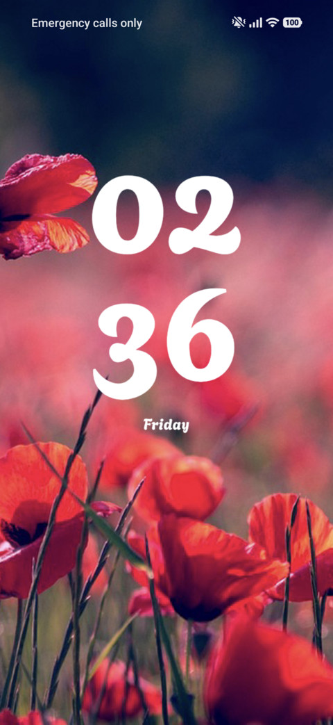 Poppies screenshot