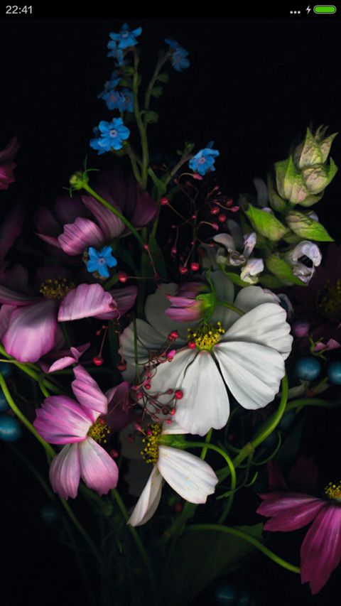 美花 screenshot