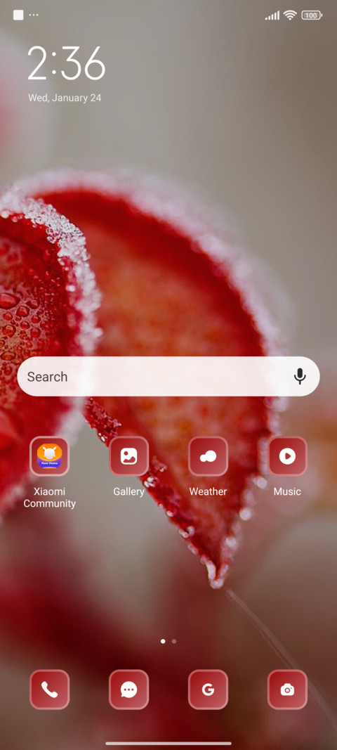 Leaf screenshot