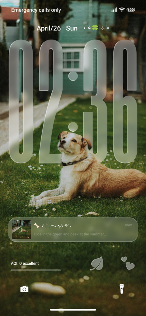 AJ Dog lovers screenshot