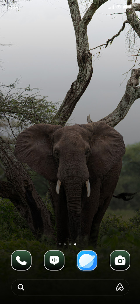 Field Elephant screenshot
