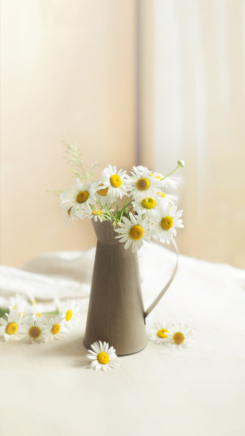 Bouquet of Chamomile Flowers in a Vintage screenshot