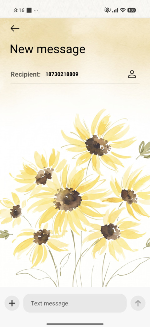 Sunny Bloom screenshot