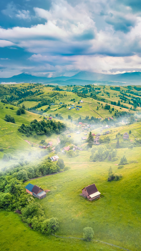 Fresh Green Scene of Stebnyi Village screenshot