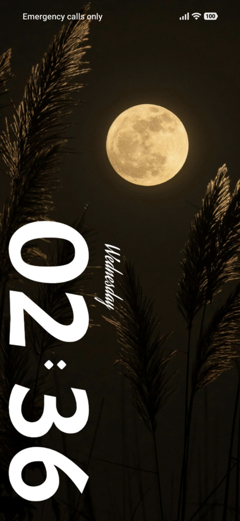 Moon Reed screenshot