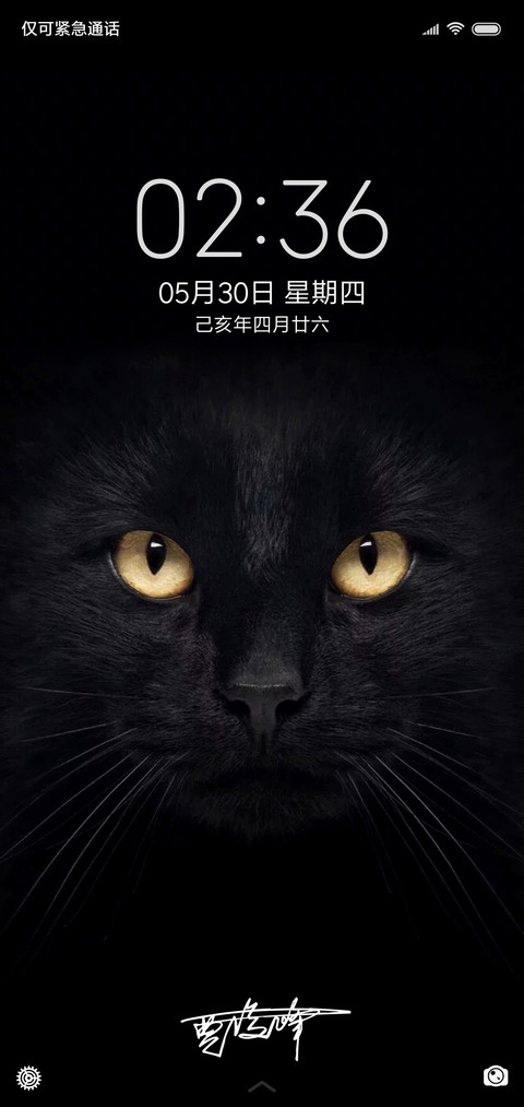 黑猫睁眼签名定制款 screenshot