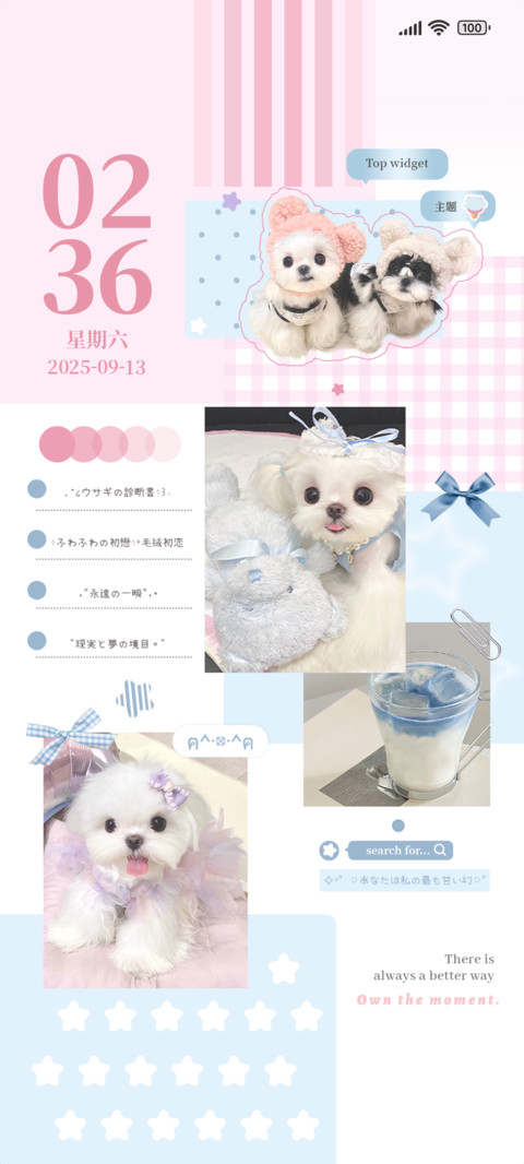 ins蝴蝶结小狗 screenshot