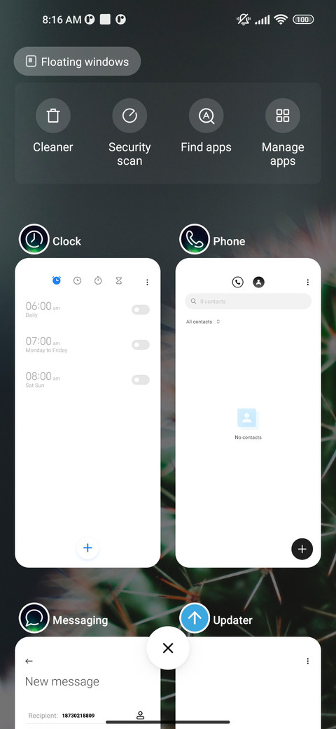 OrnaCactus screenshot