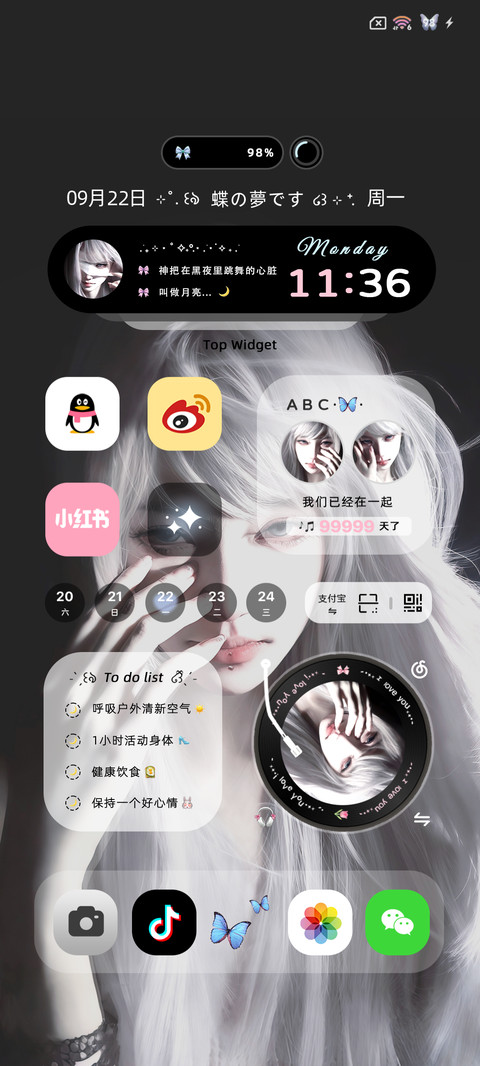 蝴蝶之梦 自定义 screenshot