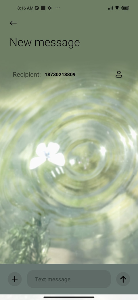 Butterfly screenshot
