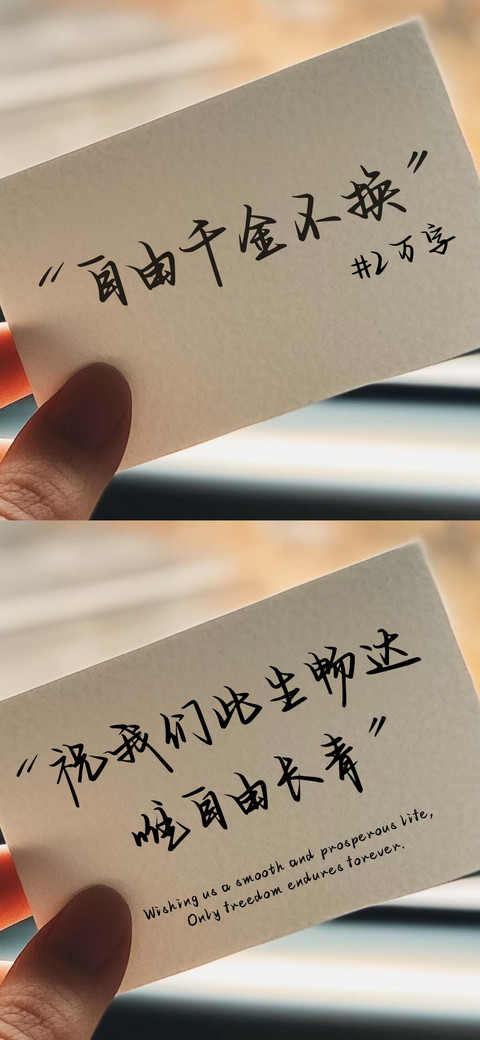自由千金不换 screenshot