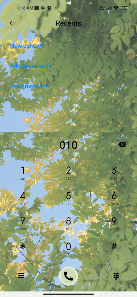 Fresh green leaves screenshot