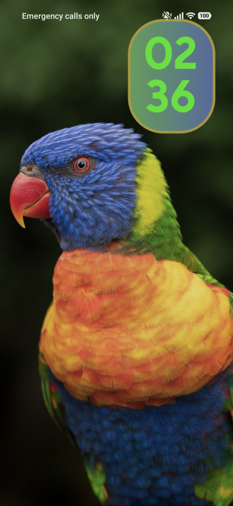 Colourful parrot screenshot