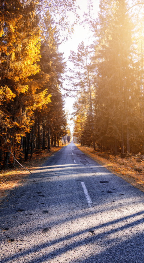Roads & Pathways (23) screenshot