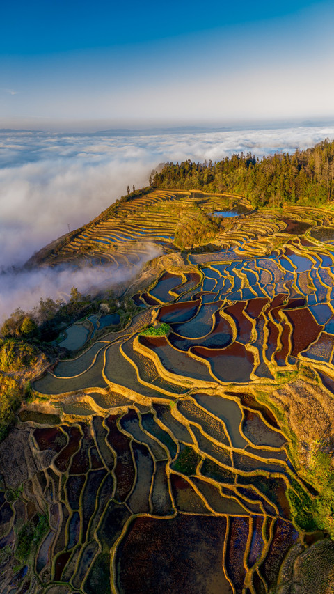 The yuanyang terraced fields are intoxicated by the sea screenshot