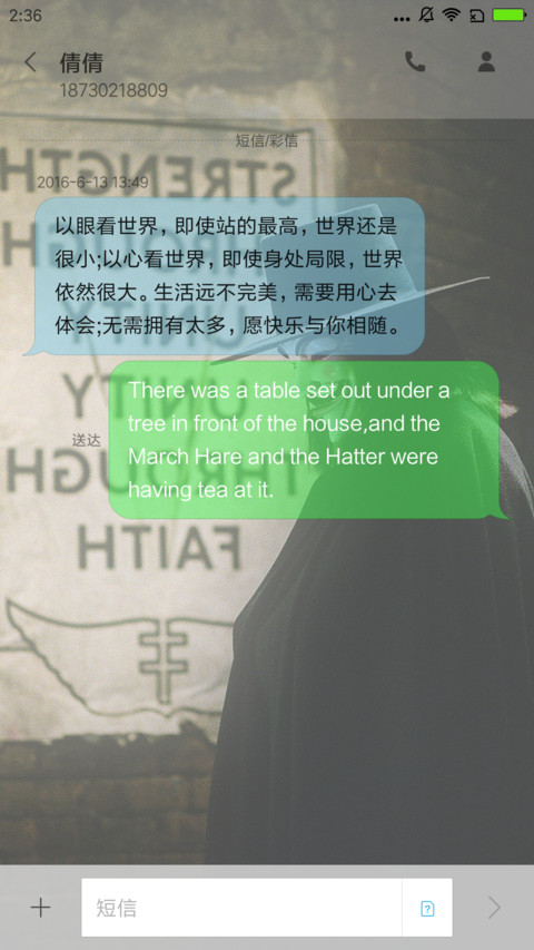 V字仇杀队 全面屏 screenshot