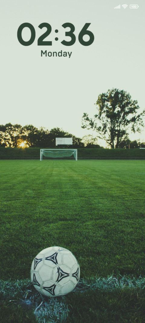 Best Soccer screenshot