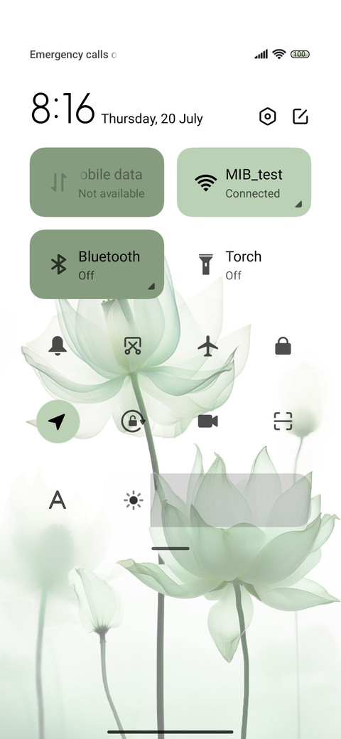 Green lotus leaves screenshot