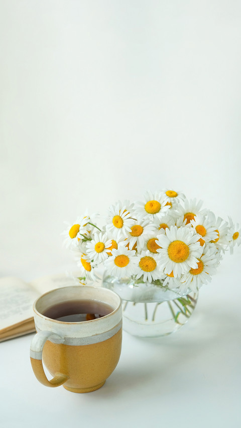 Herbal tea in cup and daisies in vase on white table screenshot