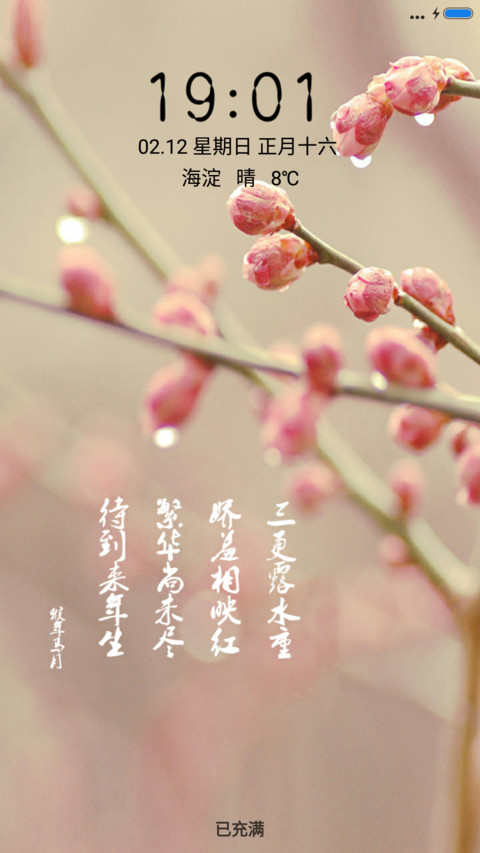 含苞待放 screenshot