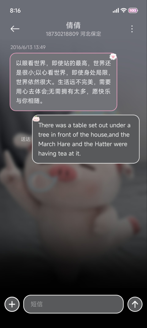 重感 最萌小猪包 screenshot