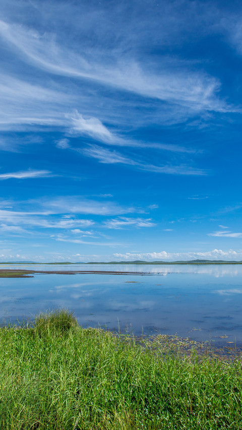 Wetland park screenshot