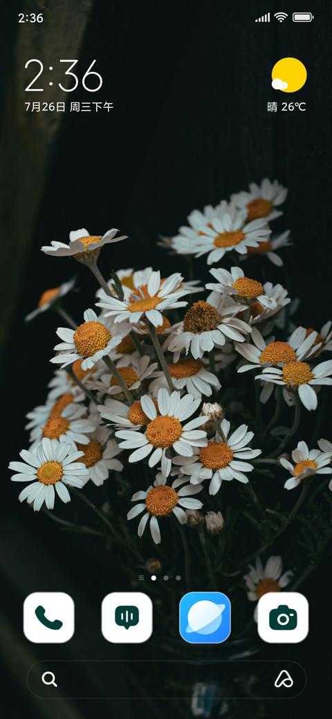 Spring Vases screenshot