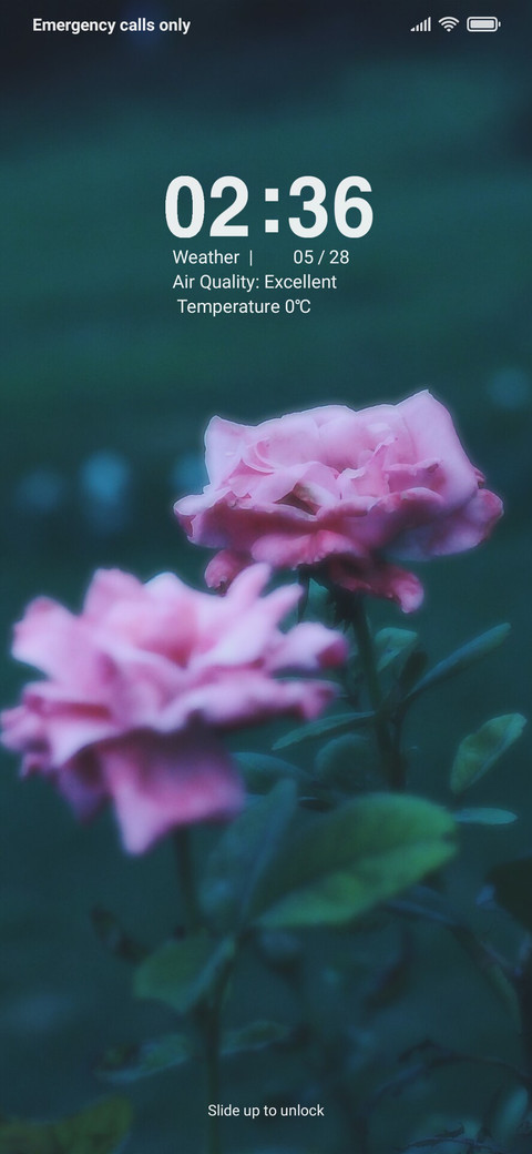 Pink Rose screenshot