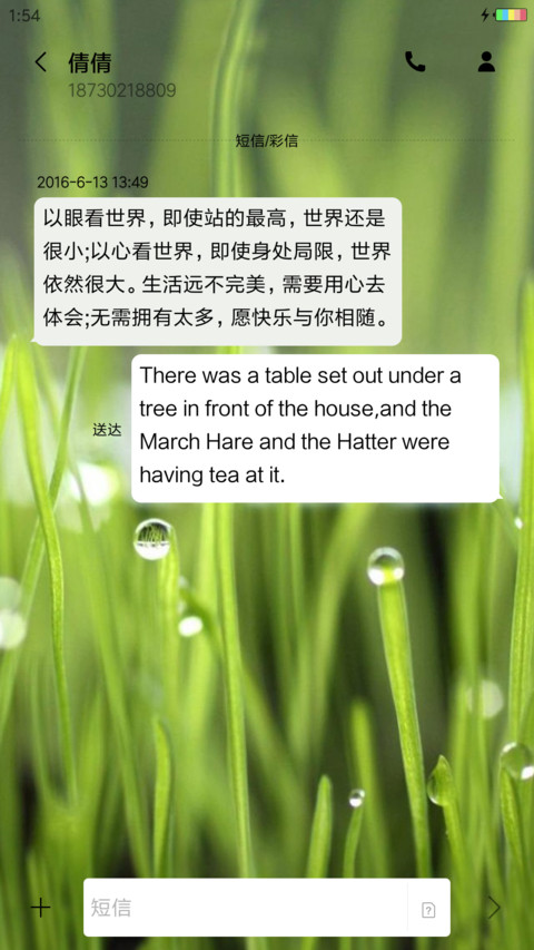 雨后植物 screenshot