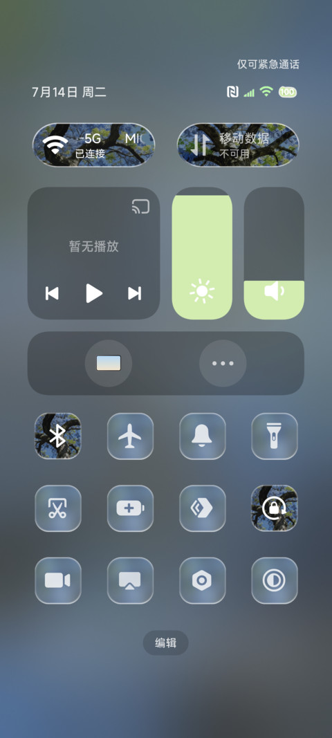 氛围 树影摇曳景深 screenshot