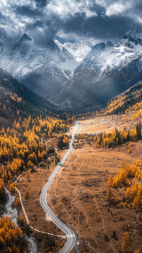 I want to go to dangling to enjoy the autumn scenery screenshot