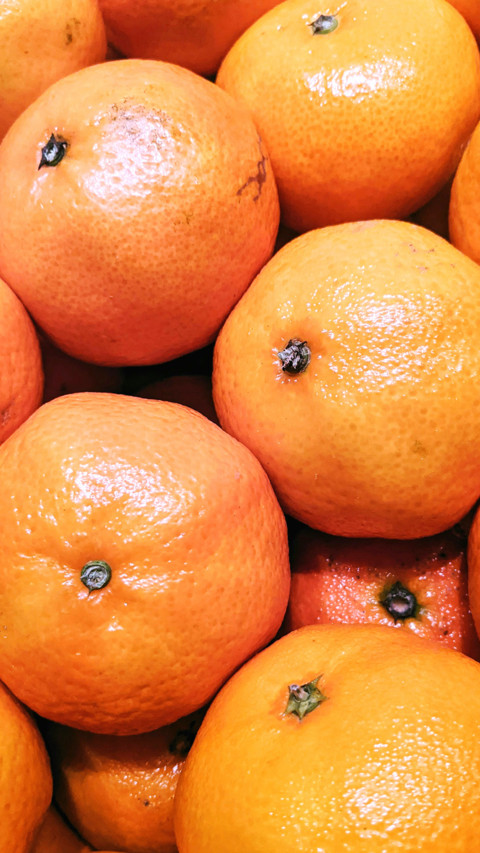 fruit screenshot