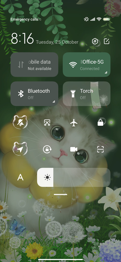 A kitten that meow screenshot