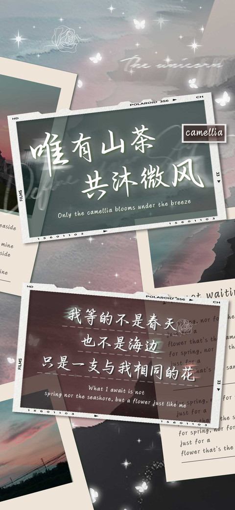 唯有山茶共沐微风 screenshot