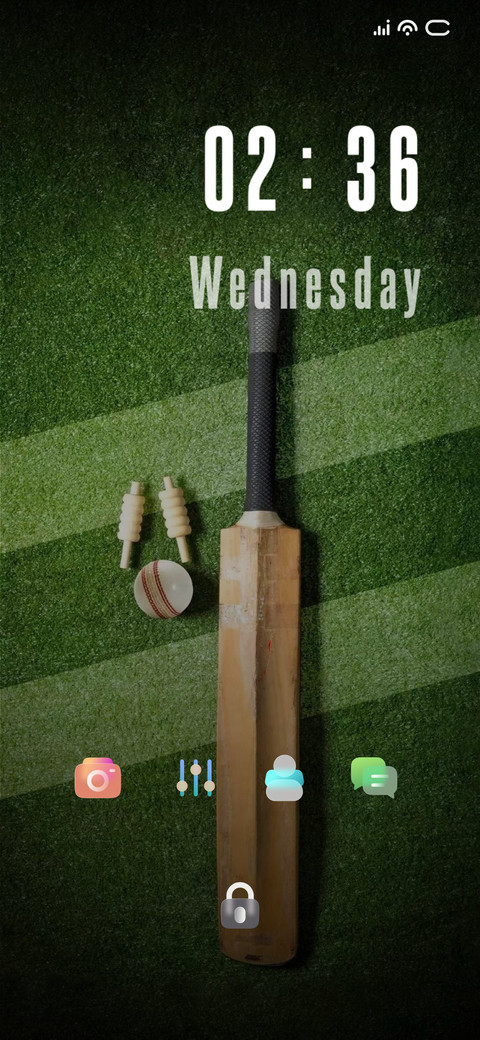 Bat Cricket screenshot