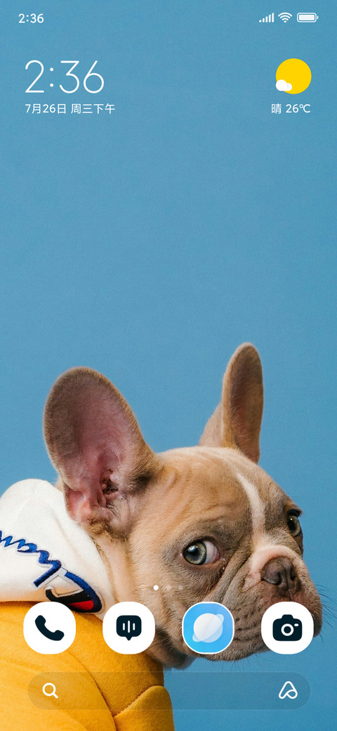 Hoodie Dog screenshot