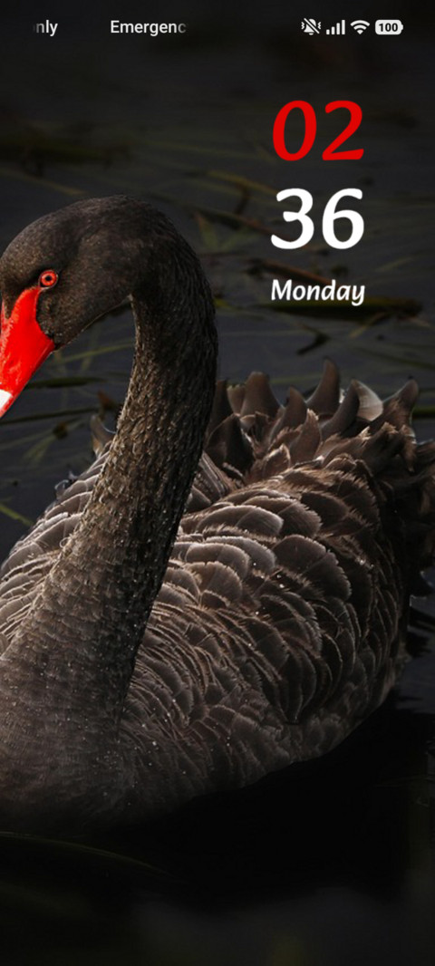 Black Swan screenshot