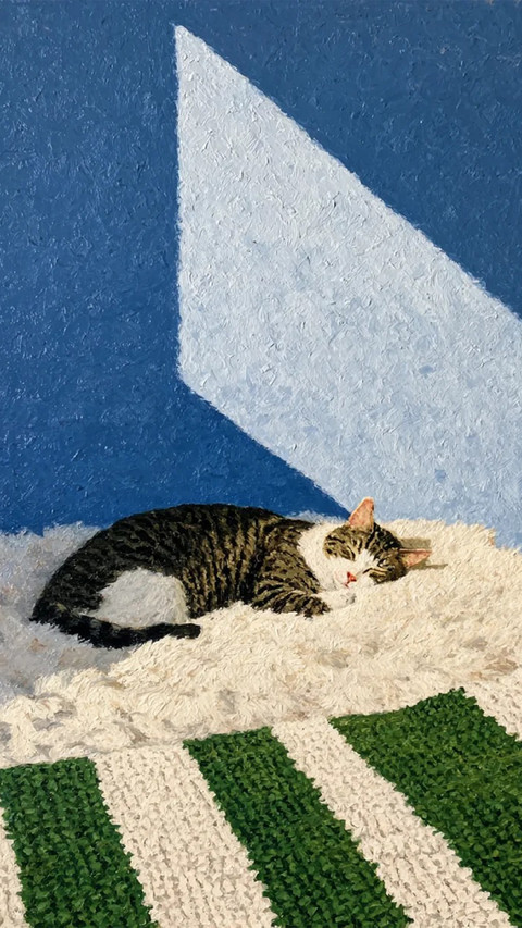 暖阳闲居，猫咪相伴 screenshot